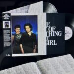 Everything But the Girl - The Best