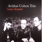 Avishai Cohen Trio - Gently Disturberd
