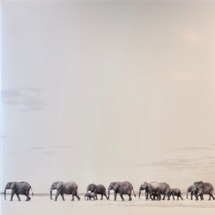 Dave Matthews Band - Where Are You Going The Singles