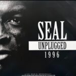 Seal - MTV Unplugged