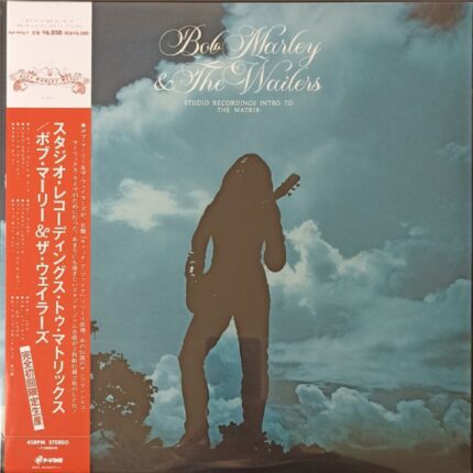 Bob Marley - Studio Recordings Intro to the Matrix.