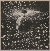 Vinilo Neil Young – Mirror Ball